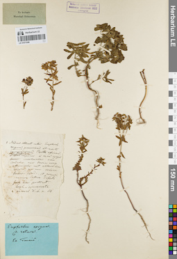 LE 01071046