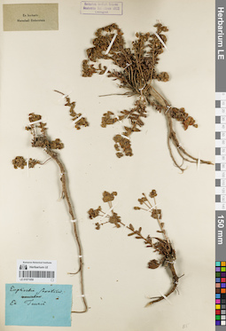 LE 01071050