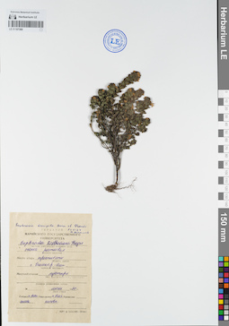 LE 01107368