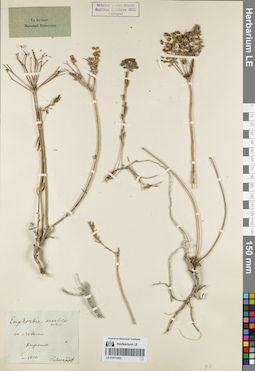 LE 01071052
