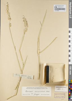 LE 01155336