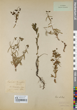 LE 01071055