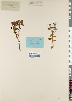 LE 01071057