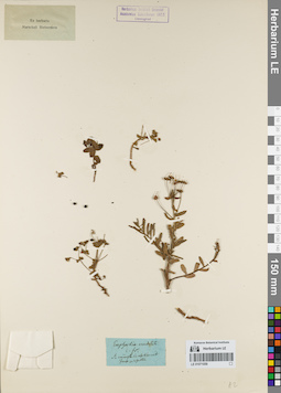 LE 01071059