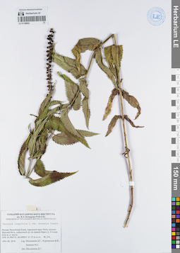 LE 01108052