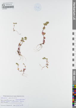 LE 01109154