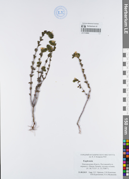 LE 01120092