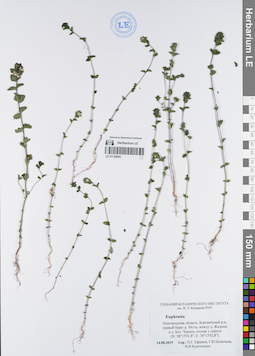 LE 01120093