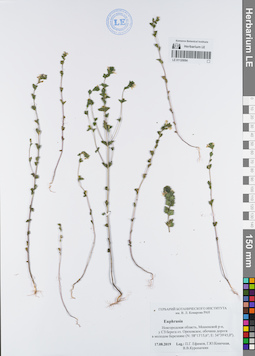 LE 01120094