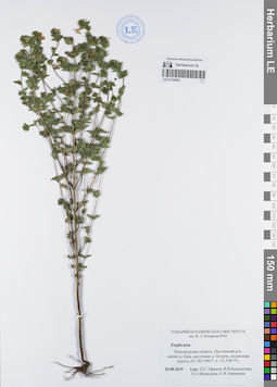 LE 01120095