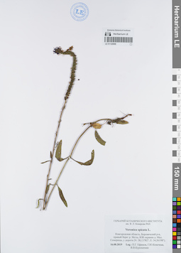 LE 01120098