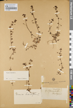 LE 01120928