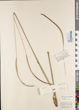 LE 01155492