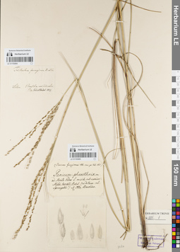 LE 01155495