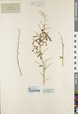 LE 01161892