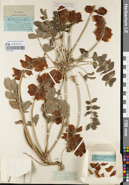 LE 01161893