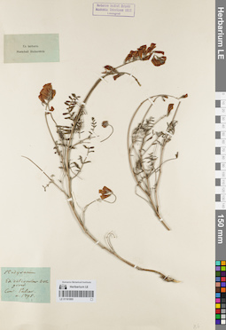 LE 01161895