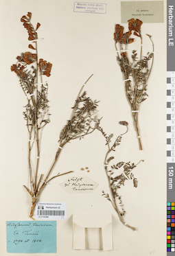 LE 01161896