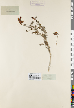 LE 01161897