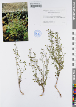 LE 01138746
