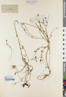LE 01161927