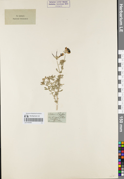LE 01161931