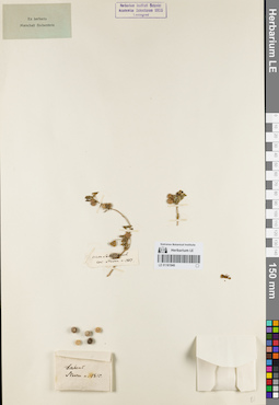 LE 01161940