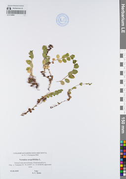 LE 01140904