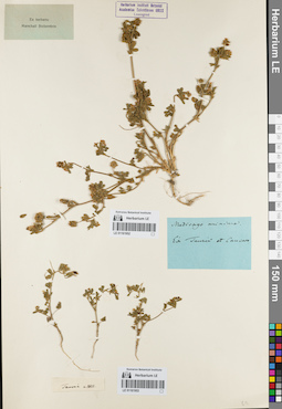 LE 01161953