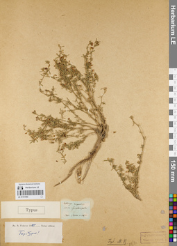 LE 01161960