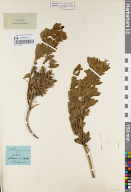 LE 01161973