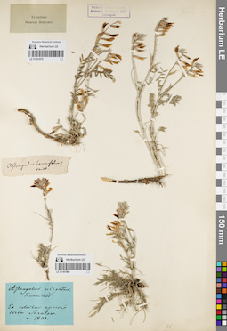LE 01161979