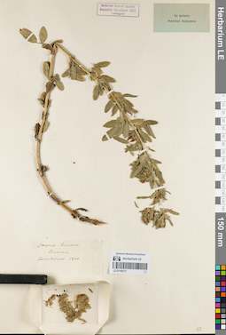 LE 01162171