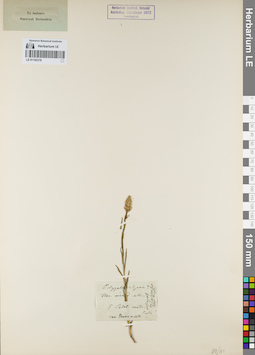 LE 01162318