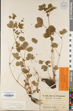 LE 01017062