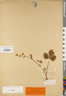 LE 01035709