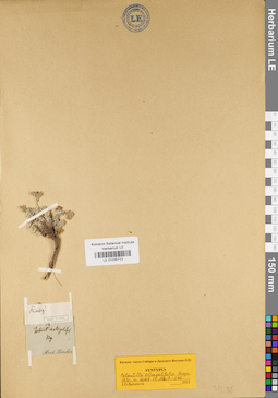 LE 01035712
