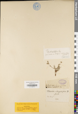 LE 01035713