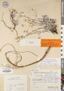 LE 01035735