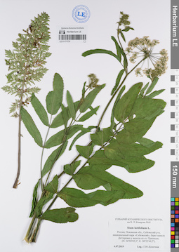 LE 01171770