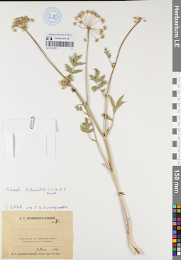 LE 01171871