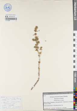 LE 01120380