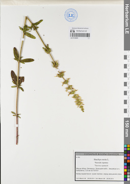 LE 01120391