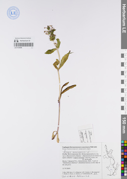 LE 01120396