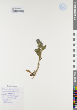 LE 01120406
