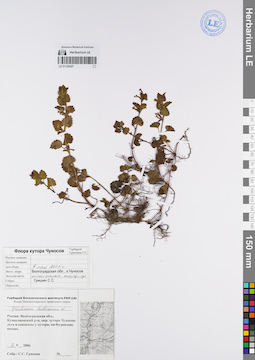 LE 01120427