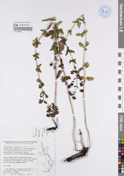 LE 01120428