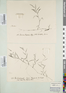 LE 01171879
