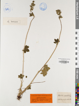 LE 01035790