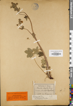 LE 01035791